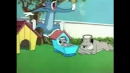 Tom & Jerry - Parodiaaaaaaaaaaa