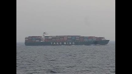 Container ship 005