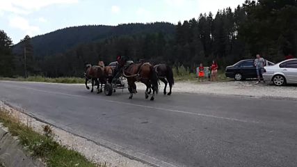 4х4 конски сили