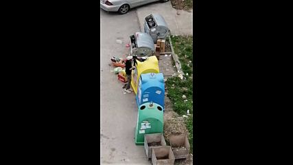 Клошар рови в кофите за боклук в Хасково