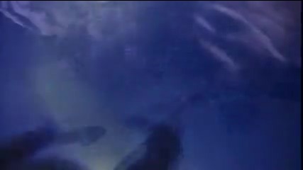 Metallica-seek and Destroy (music Video)