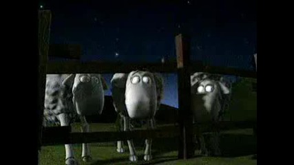 Реклама - Sprite С Овцете
