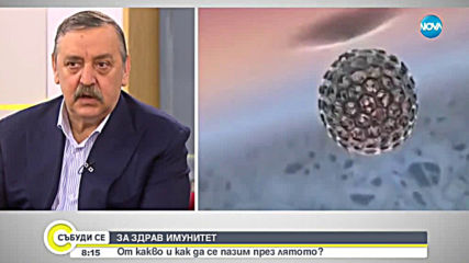 ЗА ЗДРАВ ИМУНИТЕТ: От какво да се пазим през лятото?