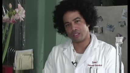 Reaction Videos