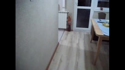 поздрав