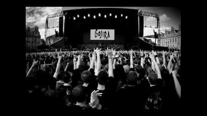 Gojira - Esoteric Surgery.flv