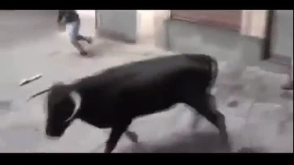 Момиче видя смъртта в очите след среща с разбеснял се бик !