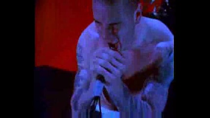 Pantera - This Love