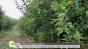 Вносът задушава българските плодове и зеленчуци