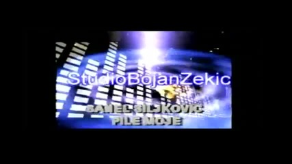 Sanel Siljkovic Sani & Studio Bojan Zekic-pile Moje-promo 2010-2011 .3gp