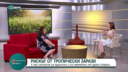 Какъв е рискът от тропически зарази в България