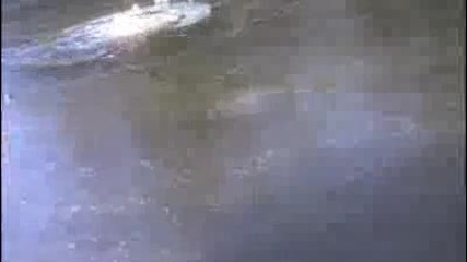 Този леда смях