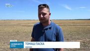 Словакия започна най-ранната жътва на грах в историята си