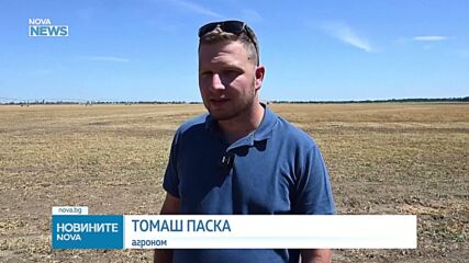 Словакия започна най-ранната жътва на грах в историята си