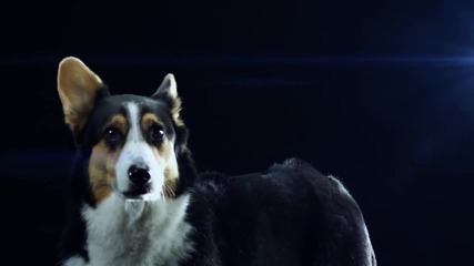 Swedish House Mafia - Save The World (official Music Video)(високо качество)