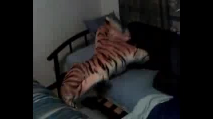 Идиот се прави че го напада тигър 