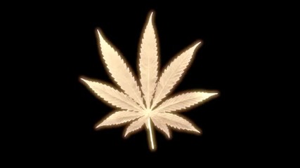 Dubstep - Natural Mystic 2011