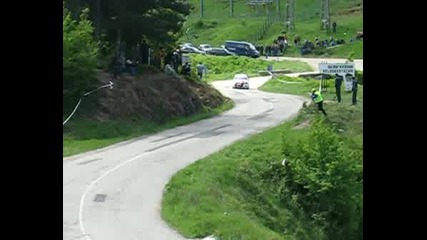 Рали Вида 2008