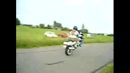 Honda Cbr 600 Stunt