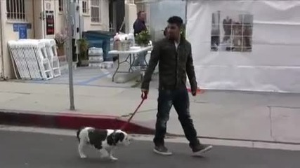 Joe Jonas Разхожда Кучето Си Winston