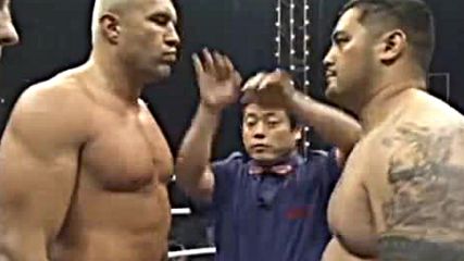 Jrme Le Banner vs Mark Hunt