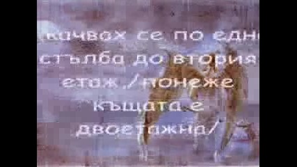 Toi Razkaza... 