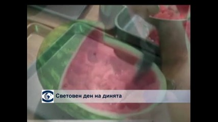 Световен ден на динята