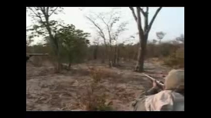 luv napada safari lovec 