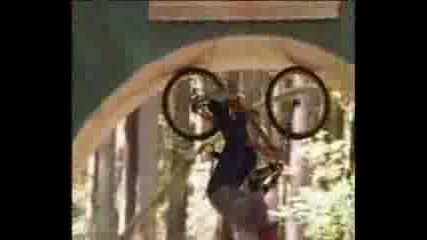 Freeride