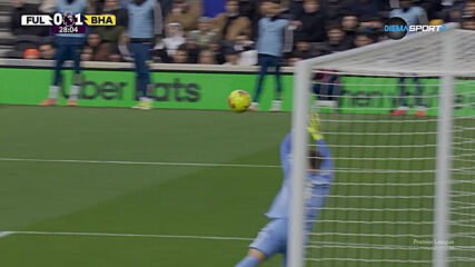 Brighton and Hove Albion with a Spectacular Goal vs. Fulham