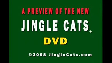 Jingle Cats Silent Night
