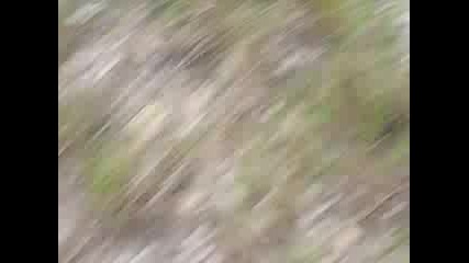 Motorbiker
