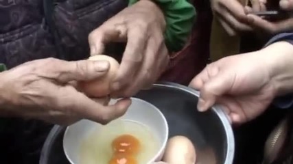 какви яйца снасят китайските кокошки