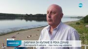 Забранено е къпането в Дунав край Видин