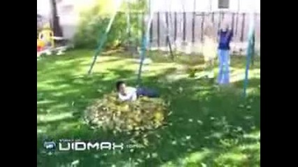 Тоя утрепа котарака.