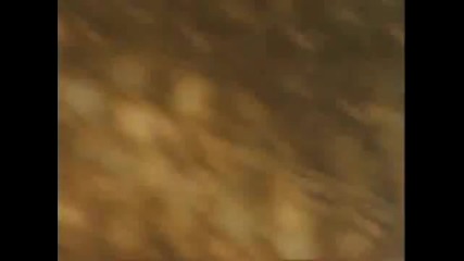 Lil Suzy - When I Fall in Love 