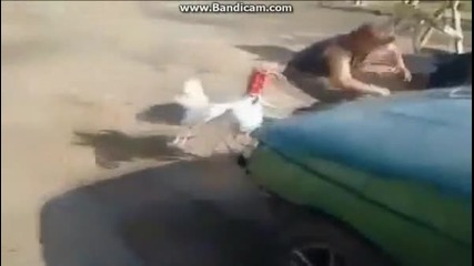 8 минути смях