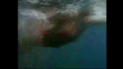 Baywatch - Акула Убива Спасител