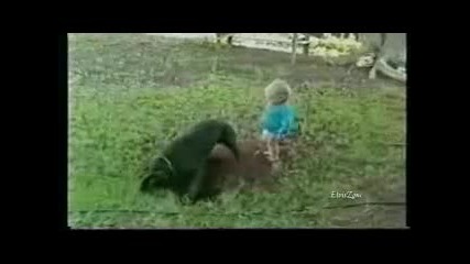 Кучета!! Смях!! xd 
