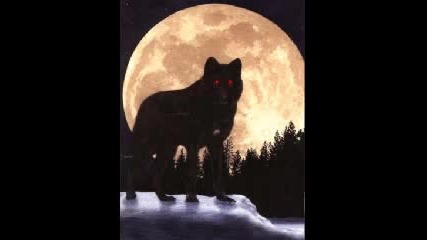 Bate Pesho feat. Tina - Wolf 