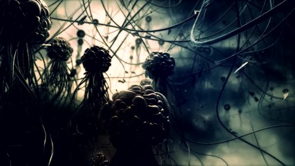 Tesseract - Nascent (official Video)