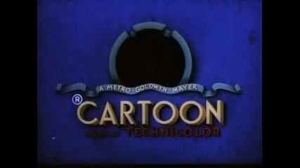 Tom and Jerry - Casanova Cat