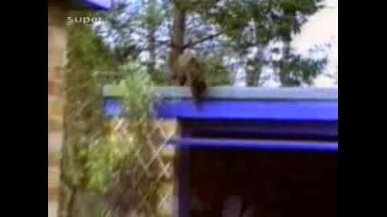 mnogo smqh 1.flv