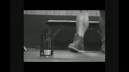 Universal Animal Test Iconic