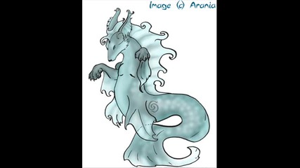 Arania pictures