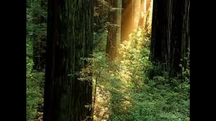 Asher Quinn - In search of the miraculous