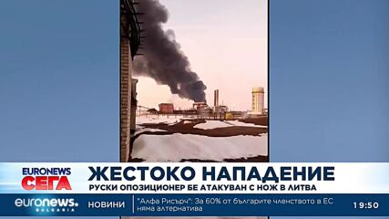 Руски опозиционер бе атакуван с нож в Литва