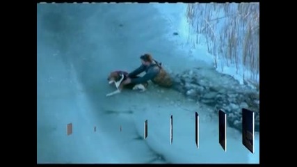 Спасиха куче заседнало насред заледеното езеро Ери
