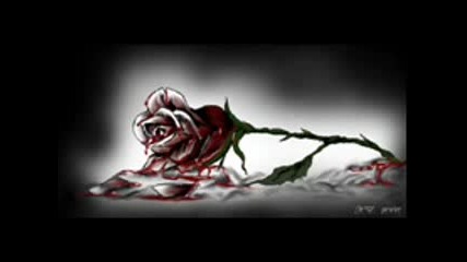 A Vain Attempt - Red Bloody Roses