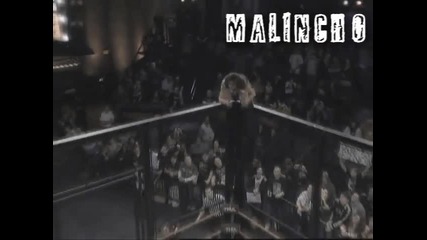 Mickie James Mv-if I had you